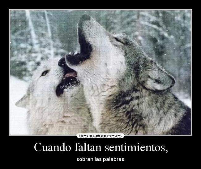 carteles sentimientos lerelere desmotivaciones