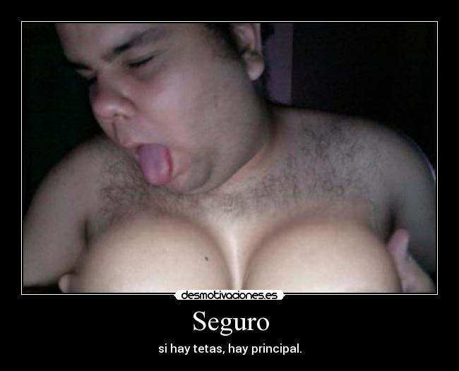 Seguro - 