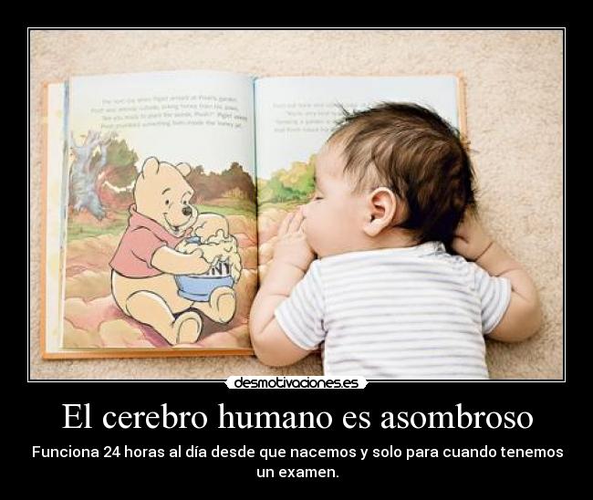 El cerebro humano es asombroso -