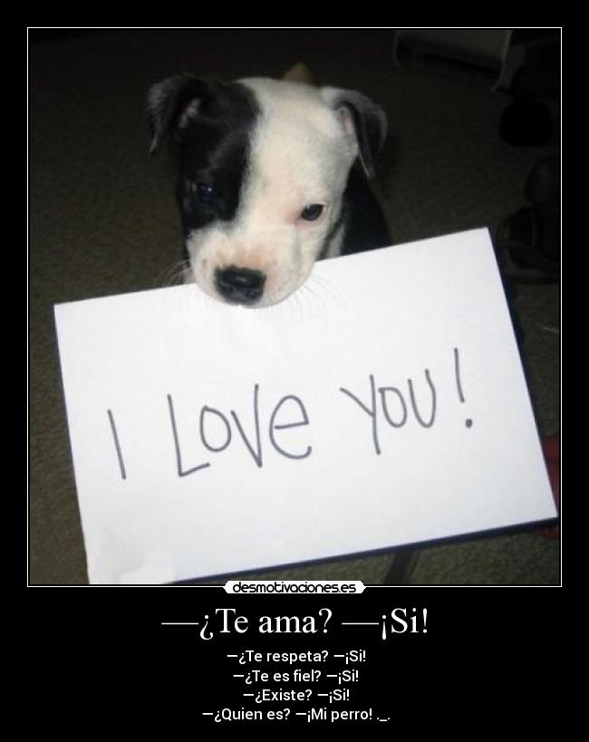—¿Te ama? —¡Si! - —¿Te respeta? —¡Si!
—¿Te es fiel? —¡Si!
—¿Existe? —¡Si!
—¿Quien es? —¡Mi perro! ._.
