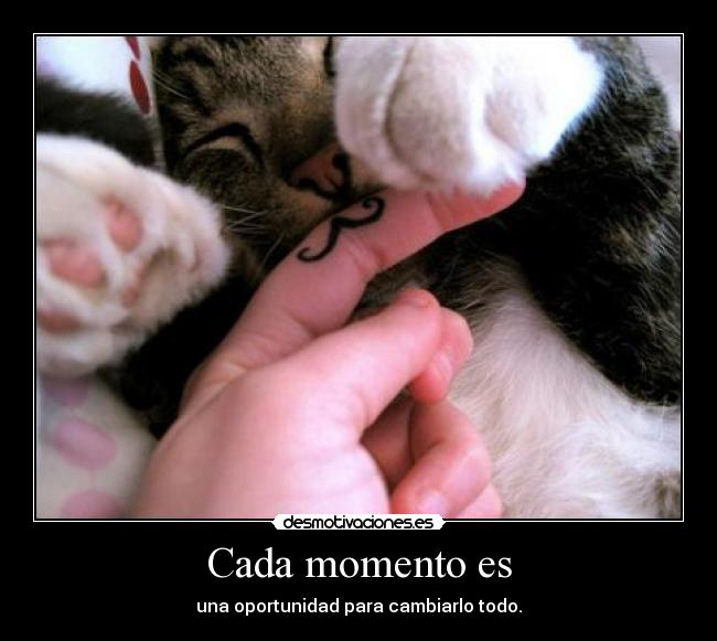 carteles gatete con bigoteeee nananana que mono intruders sweetdream09 que gustan nenene desmotivaciones