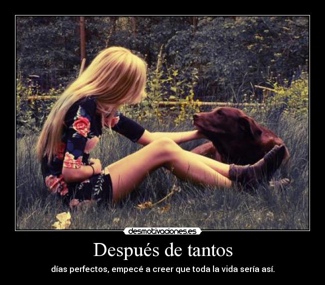 Después de tantos - 