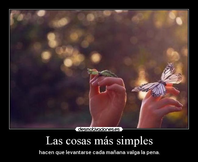 Las cosas más simples - 