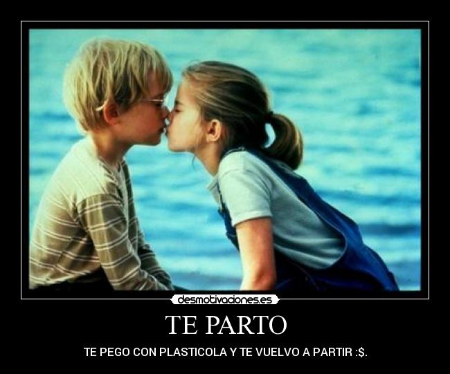 TE PARTO - TE PEGO CON PLASTICOLA Y TE VUELVO A PARTIR :$.