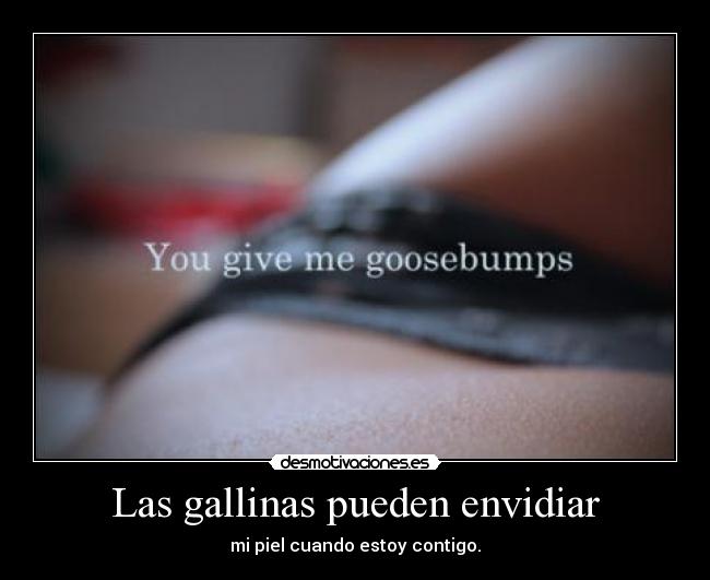 Las gallinas pueden envidiar - mi piel cuando estoy contigo.