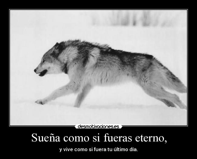 Sueña como si fueras eterno, - y vive como si fuera tu último día.