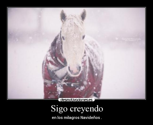 Sigo creyendo - en los milagros Navideños .