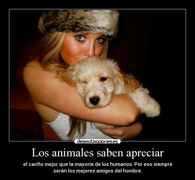 Los animales saben apreciar - 