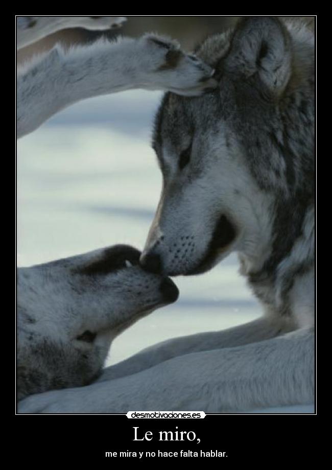 Le miro, -