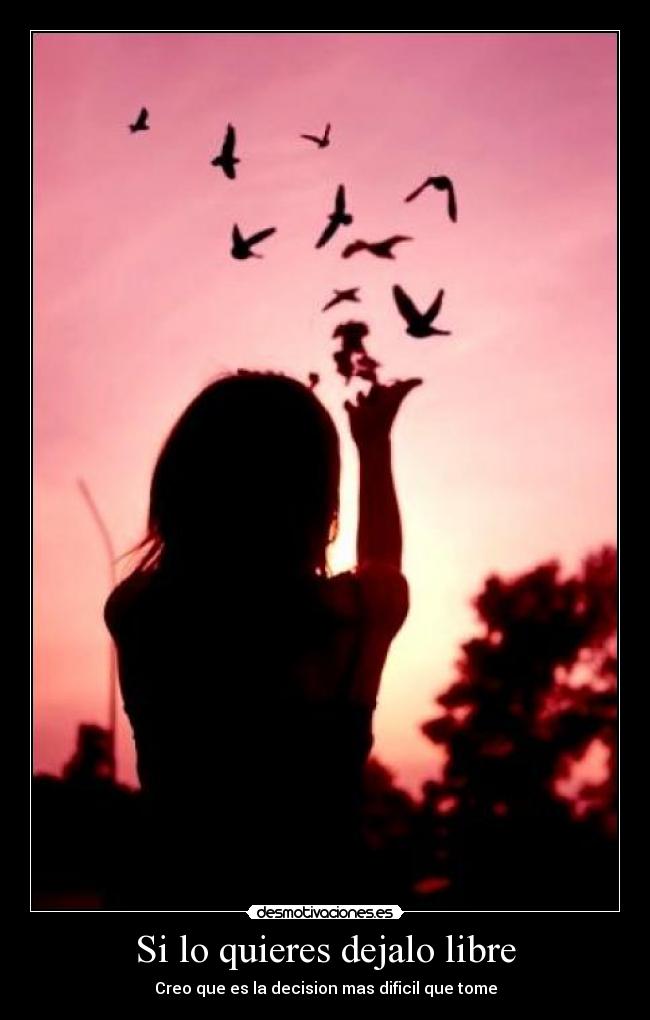 Si lo quieres dejalo libre -