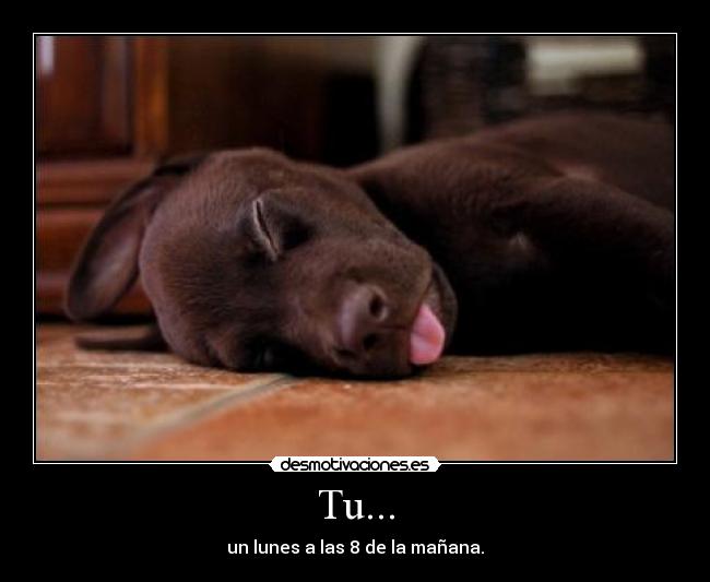 carteles lunes desmotivaciones