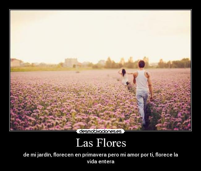 Las Flores - de mi jardín, florecen en primavera pero mi amor por ti, florece la vida entera