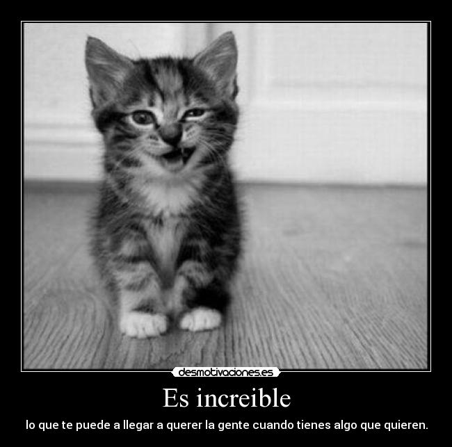 Es increible -