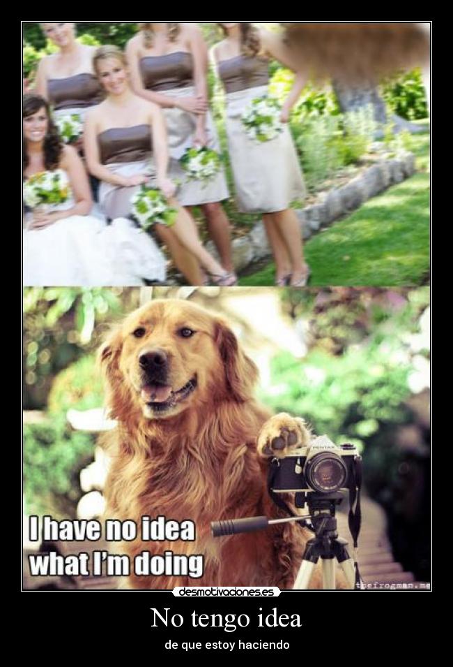 No tengo idea - de que estoy haciendo