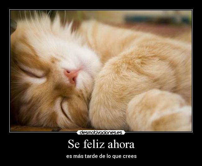 Se feliz ahora -