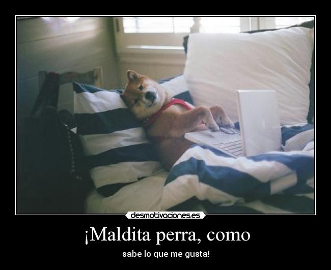 carteles yeeeeeeeeeeeeeeeeeeeeeeeeeeeah desmotivaciones