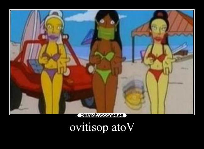 ovitisop atoV -