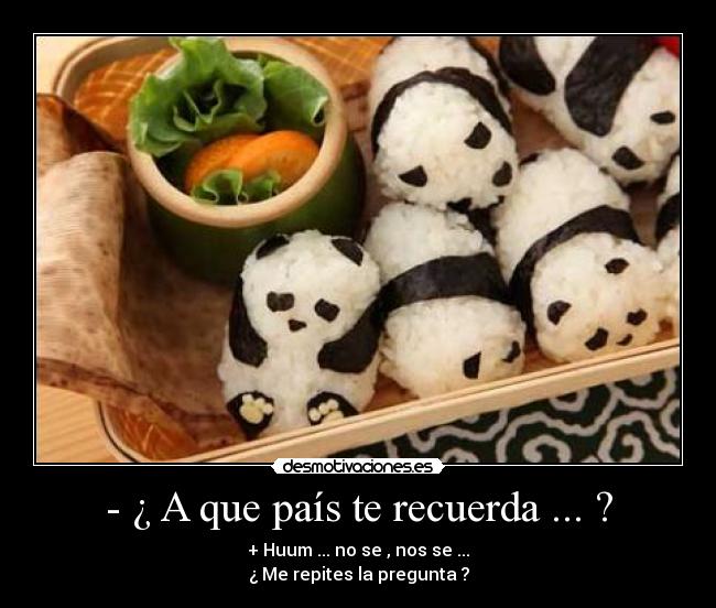 carteles pais china leranamirobin osos panda sushi seas memo pendejo porfavor desmotivaciones