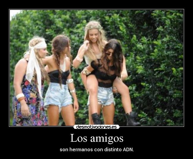 Los amigos - son hermanos con distinto ADN.