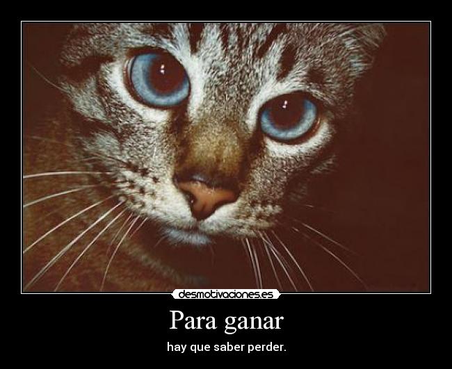 Para ganar - hay que saber perder.