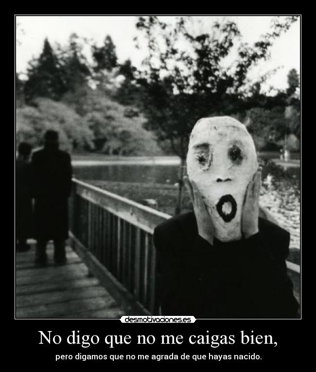 No digo que no me caigas bien, -