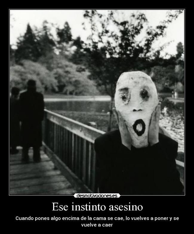 carteles poner camiseta que caiga vuelves poner vuelve caer ffuuuuuuuuu resubido por troll desmotivaciones