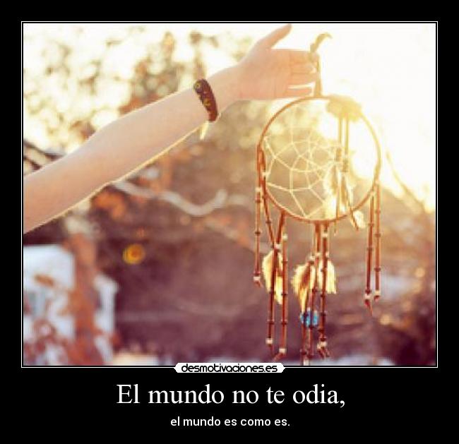 El mundo no te odia, - 