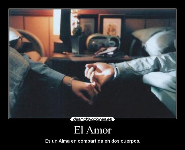 El Amor - 