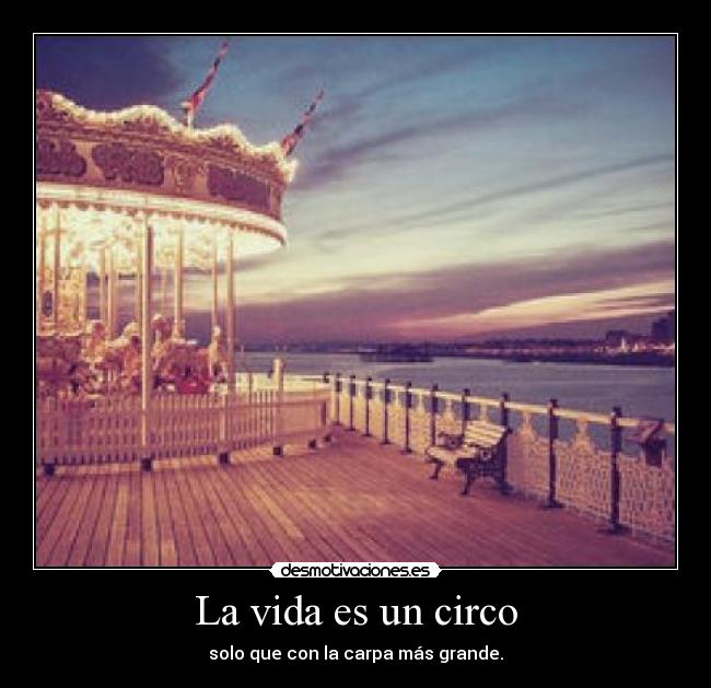 La vida es un circo - 