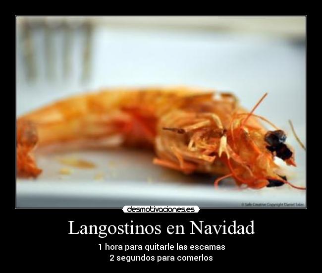 Langostinos en Navidad - 1 hora para quitarle las escamas
2 segundos para comerlos