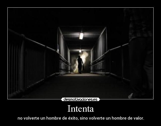 Intenta - 