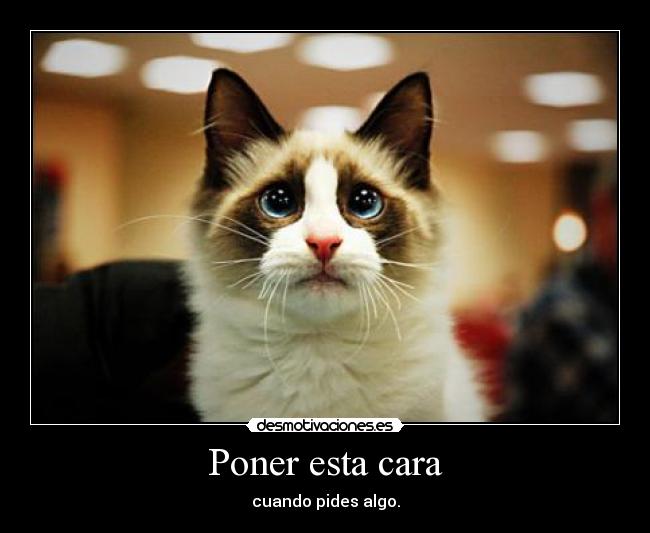 Poner esta cara - cuando pides algo.