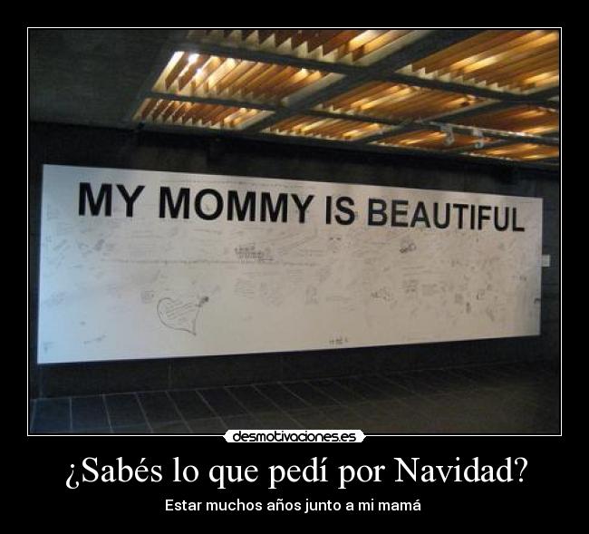 ¿Sabés lo que pedí por Navidad? - 