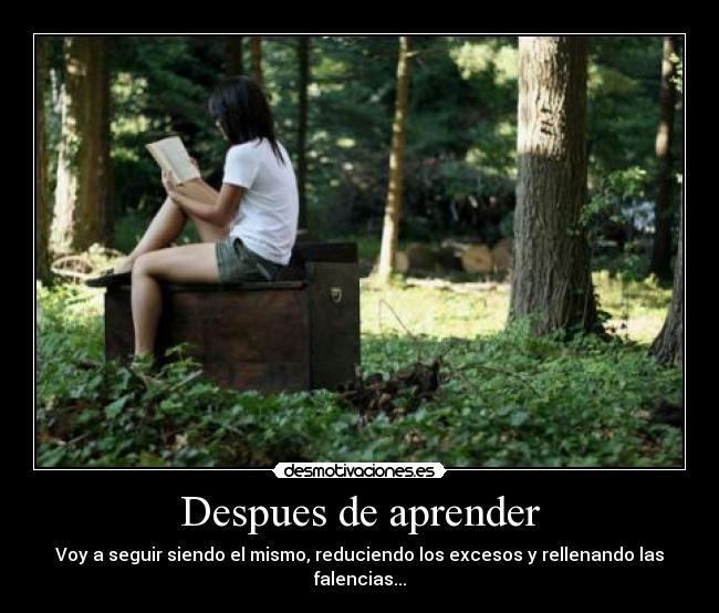 Despues de aprender - Voy a seguir siendo el mismo, reduciendo los excesos y rellenando las falencias...