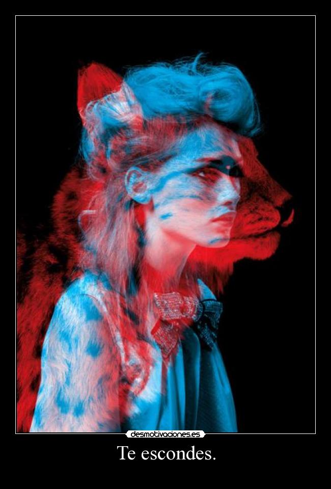 carteles nomiresaqui elclanviral toslocos lilyjames call name desmotivaciones