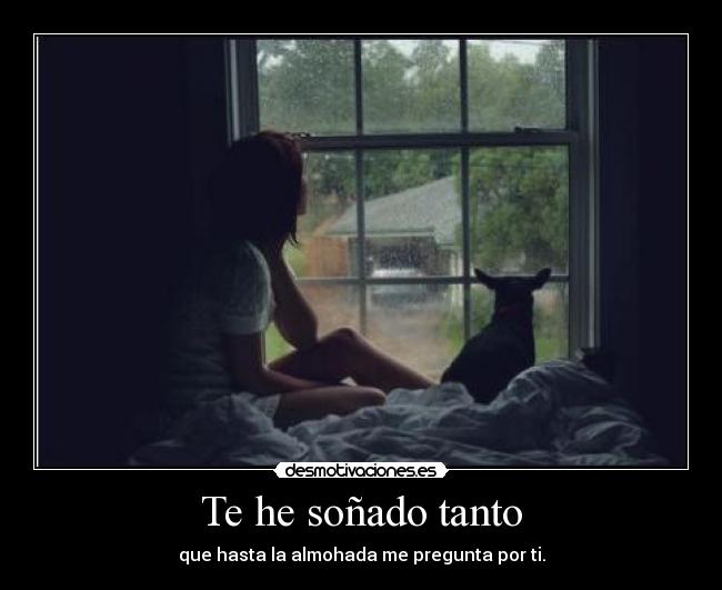 Te he soñado tanto - que hasta la almohada me pregunta por ti.