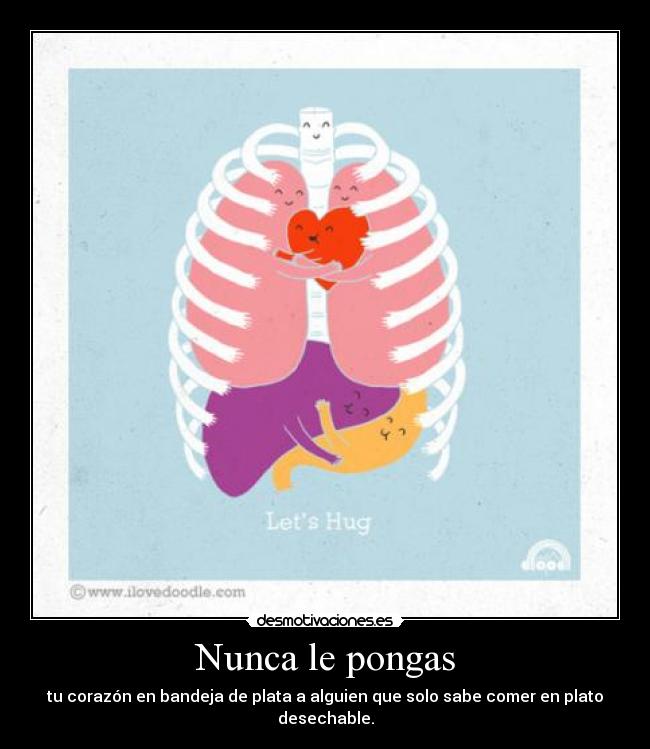 Nunca le pongas -