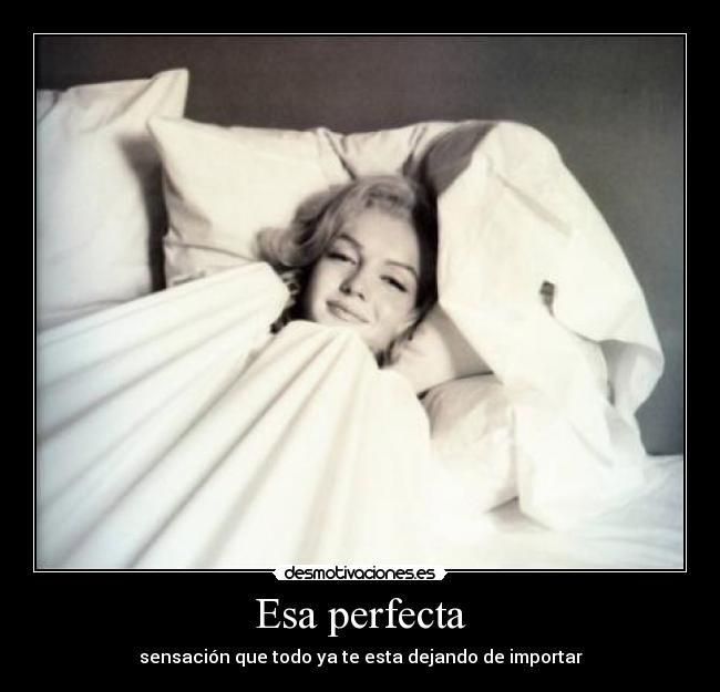 Esa perfecta - 