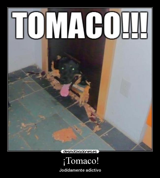 ¡Tomaco! -