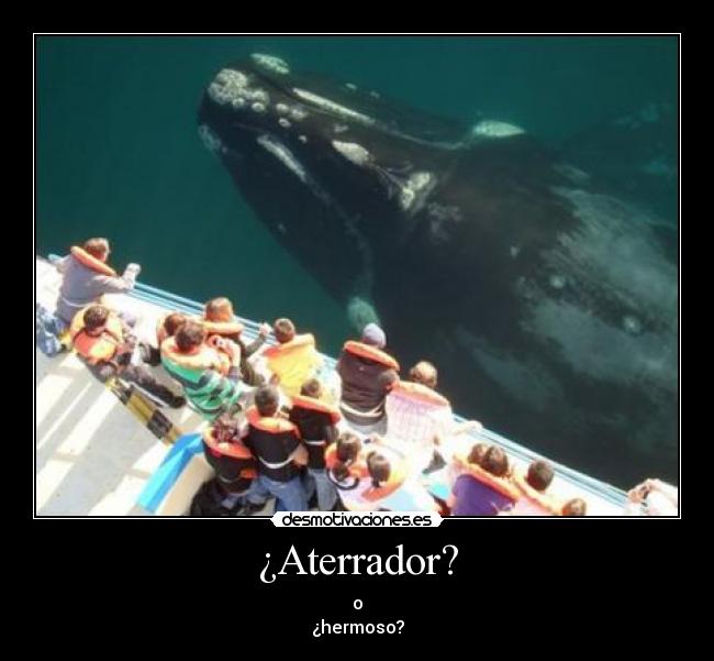 ¿Aterrador? - 