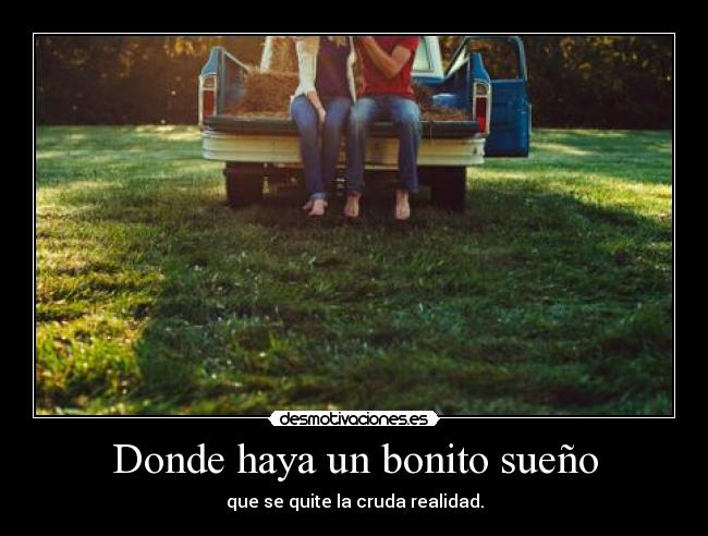 carteles gatosladra desmotivaciones