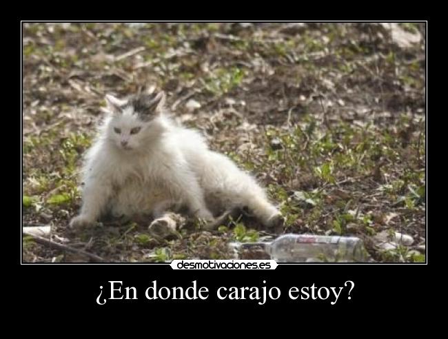 ¿En donde carajo estoy? - 