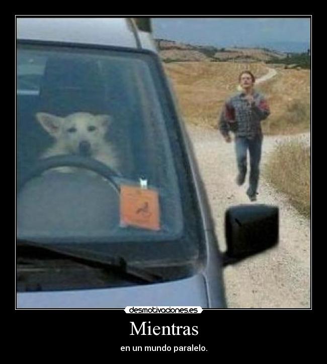 Mientras - 