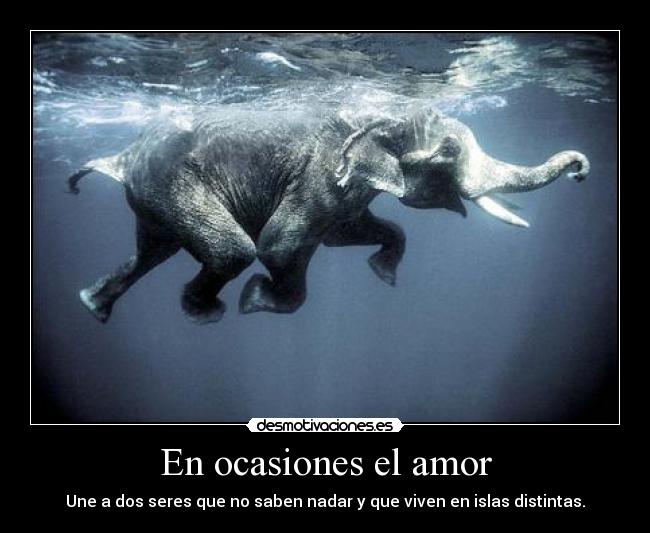 En ocasiones el amor - 