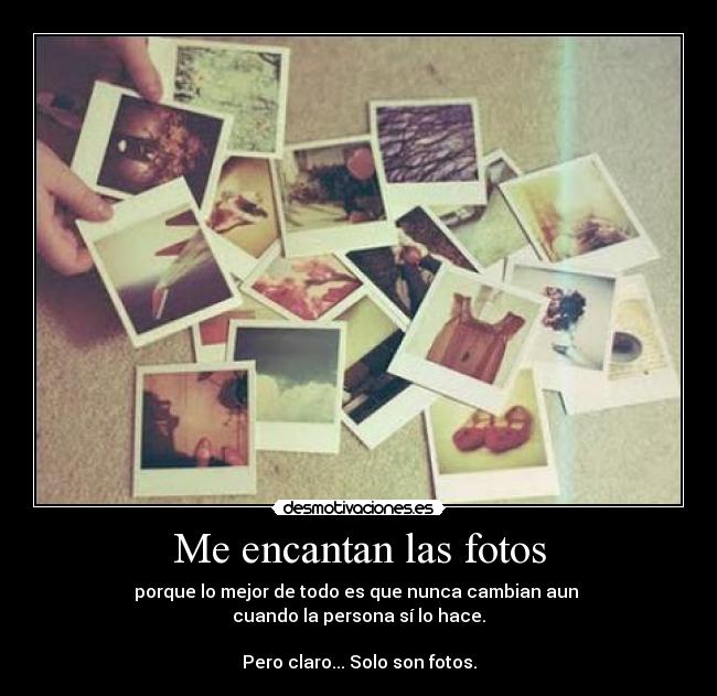 Me encantan las fotos - 