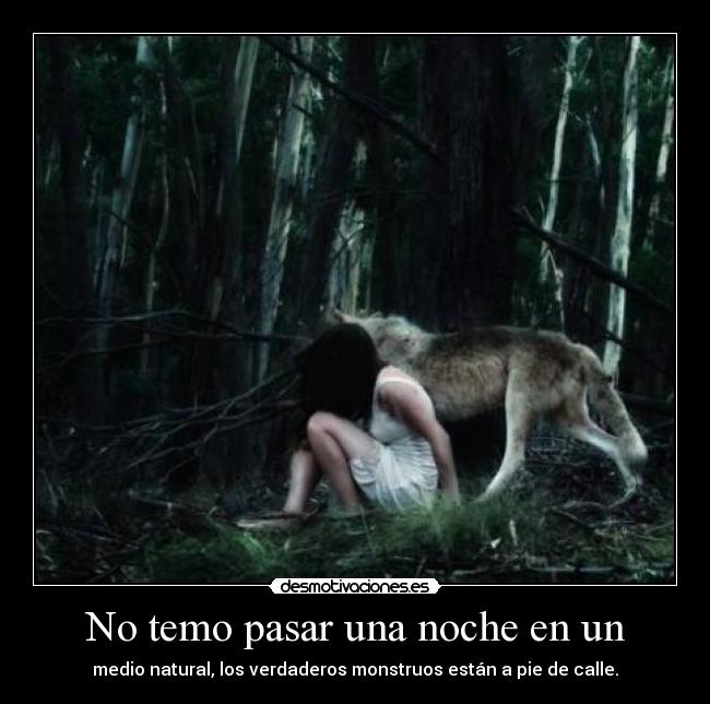 carteles que ganas marchar montana tres dias mochila largo camino por delante desmotivaciones