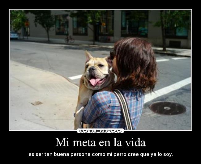 Mi meta en la vida - 