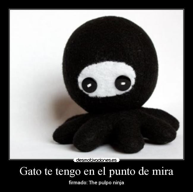 carteles gatossubeme este cartel principal the pulpo ninja desmotivaciones