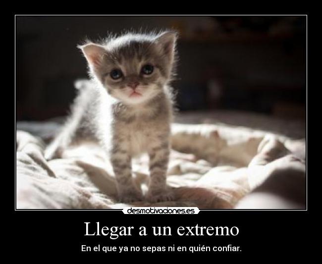 Llegar a un extremo - En el que ya no sepas ni en quién confiar.