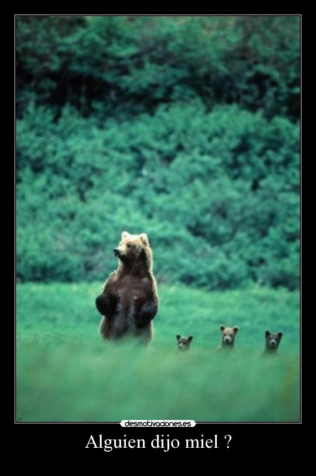 Alguien dijo miel ? -